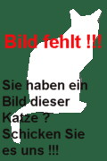 Si-Rex Foto